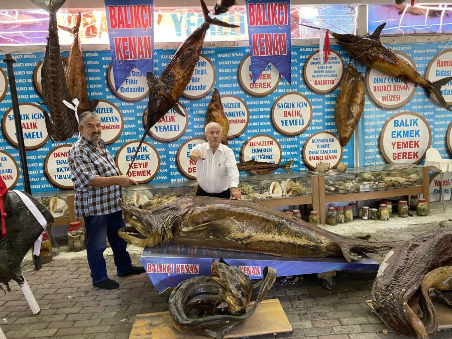 Türkiye Deniz Canlıları Müzesi 50 yıllık dostları buluşturdu